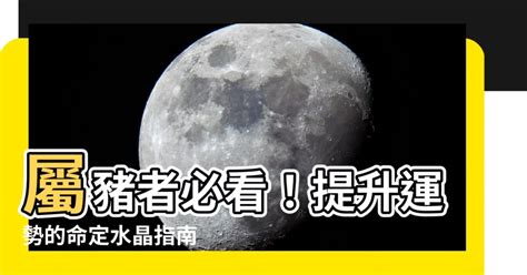 屬豬皮夾顏色|【屬豬適合什麼顏色】屬豬者好運相隨！2024年最強幸運色解。